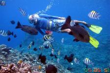 Cancun Vacation Packages - Cancun Travels & Tour operator