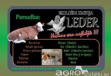 Sok jabolčni, starih sort .