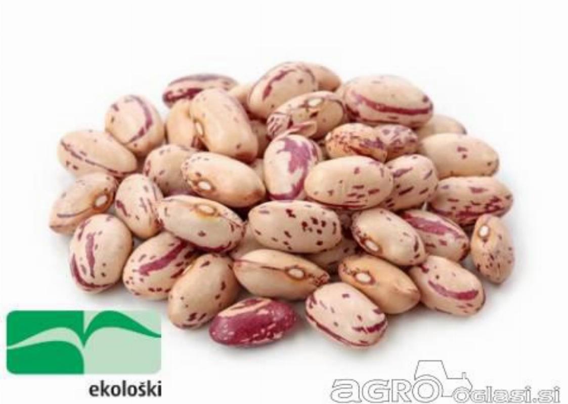 Fižol češnjevec, ekološki