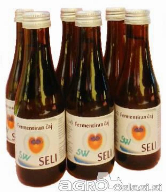 Kombuča ali fermentiran probiotični čaj- sladki pelin