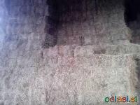 Prodam kvadratne bale sena