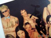 DIE TOTEN HOSEN, kartica z original podpisi članov skupine