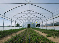 TOP Rastlinjak PROFI širine 4.5 m Z BOČNIM ODPIRANJEM