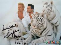 Siegfred & Roy - kartica z original avtogram, l 1992