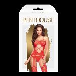 BODYSTOCKING Penthouse Hot Nightfall Red