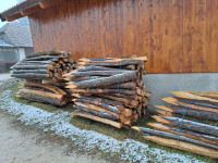 Koli količki kostanj hrast za ograje trto paradižnik papriko sadike dr