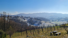 Zazidljivo zemljišče na Hrvaškem, 3 km od mejnega prehoda Rogatec