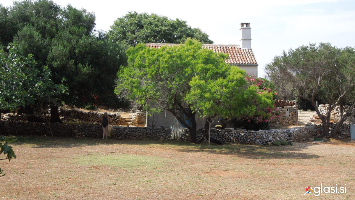 Otok Cres, posest 76000 m/2, hiša 69 m/2