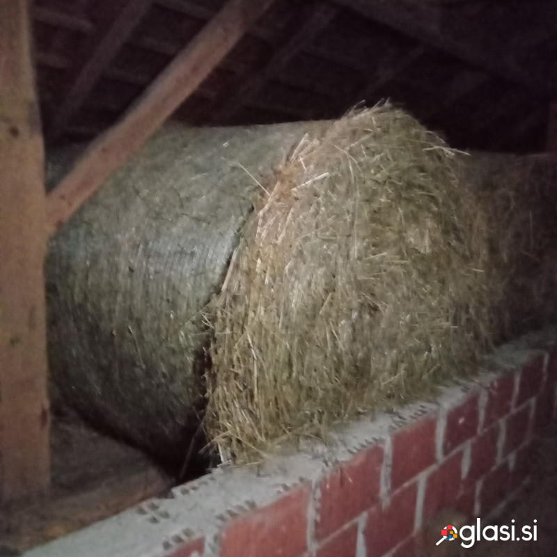 Seno v okroglih balah
