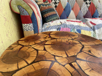 Mizica jablana-epoxy