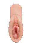 MASTURBATOR PDX Plus Perfect Pussy Dream Stroker