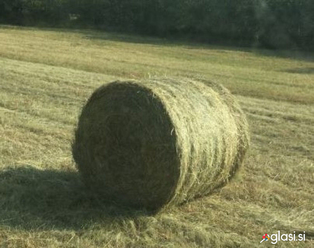 Okrogle bale hribovskega sena