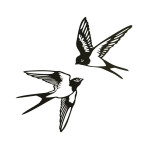 Stenska dekoracija Lastovke