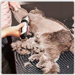 Aku. brivnik za striženje in nego dlake psov in mačk