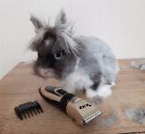 Aku. brivnik za striženje in nego dlake psov in mačk