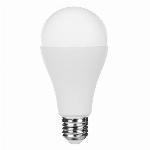 LED RGBW dekorativna pametna žarnica Pro Series 7W E27 555lm