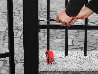 5 delni odstranjevalec poškodovanih vijakov 1