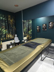 IŠČEM NOV OBRAZ ZA NAŠ SALON 068628392