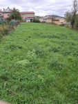 Vipavska dolina: hiša kamnita 100m2 in travnik cca 1000m2