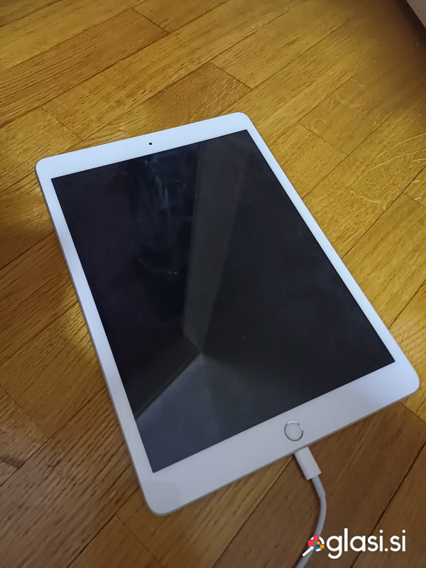 Apple Ipad 7