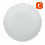 24W pametna LED WiFi nadometna svetilka 32cm RGBCW Tuya Alexa Google assistant