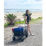 Zložljiv transportni voziček buggy za plažo in kampiranje do 100kg