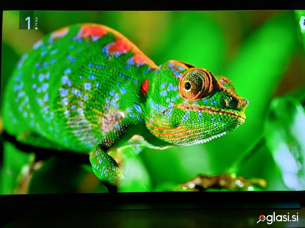 Televizor LG CX OLED 55CX9LA