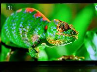 Televizor LG CX OLED 55CX9LA