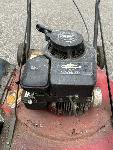 Kosilnica Briggs &amp; Stratton