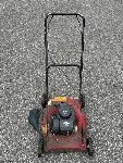 Kosilnica Briggs &amp; Stratton