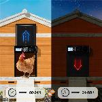 Elektronska avtomatska LCD vrata za kokošnjak s časovnikom 33x26cm črna