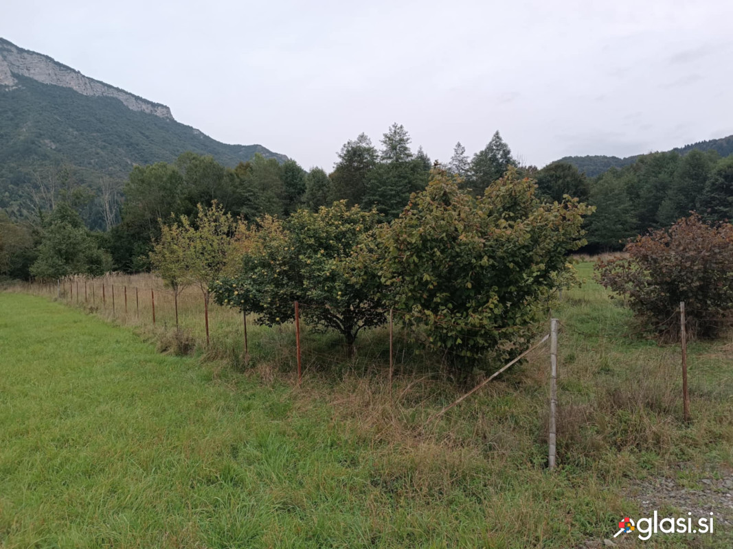 Prodaja se kmetijsko zemljišče Brod  na Kupi, Kuželj