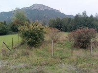 Prodaja se kmetijsko zemljišče Brod  na Kupi, Kuželj