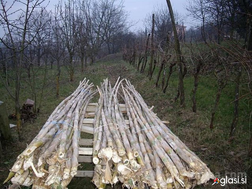 KANELA - KANELE za vinograd ali paradižnik