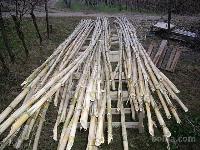 KANELA - KANELE za vinograd ali paradižnik