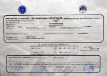 Beli švicarski ovčar, psička