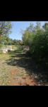 Zemljišče Vodnjan, Istra, 8000m2