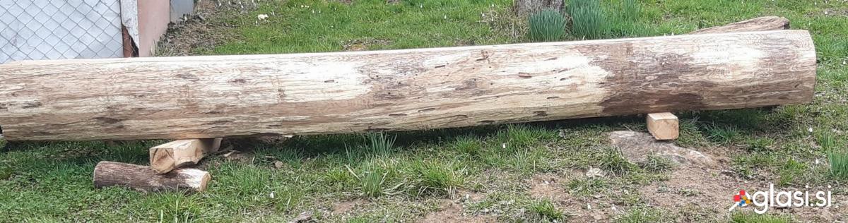 Hrastov hlod primeren kot klop ali pregrado