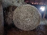 SENO, KOCKE, OKROGLE BALE (MENJAM ZA GOVEDO)