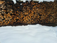 Metrska mešana drva