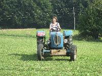 TRAKTOR WARCHALOWSKI, STARODODBNIK, LETNIIK 1965, 25 W PRODAM.