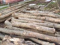 Bukova hlodovina za drva