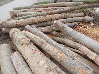 Bukova hlodovina za drva