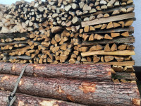 PRODAM KOSTANJEVA DRVA