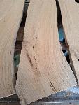 Les primorskega bora dolga leta v morju 46x11x1.5cm. Cena 2 eur