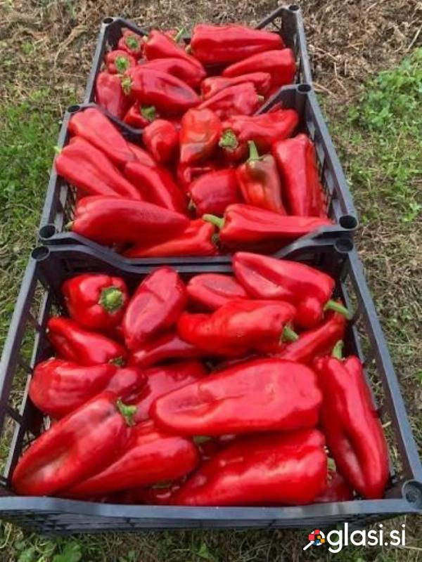 Zelenjava sveža ugodno