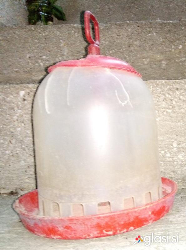 Krmilnica za piščance