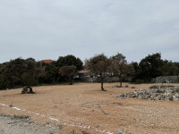 Zemljišče Mandre, Kolan, Pag, Hrvaška