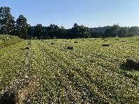 Bale kvadratne - seno v kockah