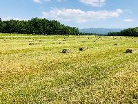 Bale seno otava kocke